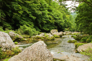愛媛県内子町　小田深山渓谷の風景

