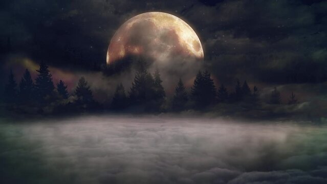 Misty Forest Moonlight Eerie Landscape Background. Full moon behind trees in a foggy forrest, strange landscape.