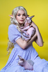 Young female cosplay elf in blue dress sitting with two beloved Sphinx kittens and looking at camera with eyes of different colors. Elf has blonde curly long hair, pearls in ear. Yellow background.