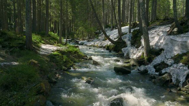 River forest water nature sun snow grass green wood tree magic ice clean