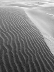 Obraz premium ripples in the sand