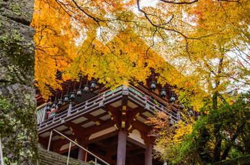 奈良談山神社の紅葉