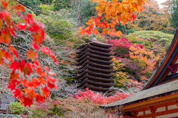 奈良談山神社の紅葉