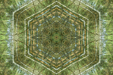 Zielona mozaika w kształcie sieci pająka