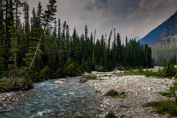 Fototapeta premium Tokkum Creek rolls on Kootenay National Park British Columbia Canada