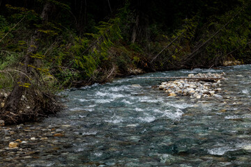 Fototapeta premium Tokkum Creek rolls on Kootenay National Park British Columbia Canada