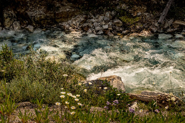 Tokkum Creek rolls on Kootenay National Park British Columbia Canada