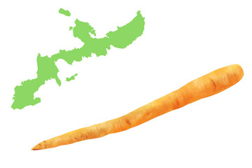 島にんじん