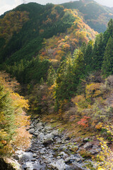 みたらい渓谷（奈良県吉野郡天川村）の紅葉