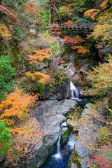 みたらい渓谷（奈良県吉野郡天川村）の紅葉