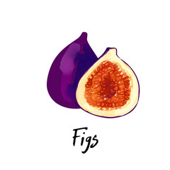 Illustration of a figs isolated on a white background