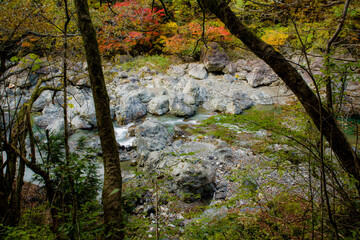 みたらい渓谷（奈良県吉野郡天川村）の紅葉