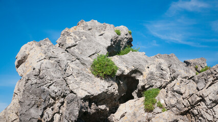 Arbustos verdes silvestres en rocas graniticas en el litoral bajo cielo azul