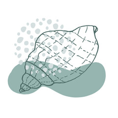 Hand-drawn seashell spiral with a texture of many dots.