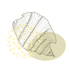 Hand-drawn seashell spiral with a texture of many dots.