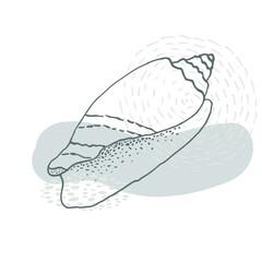 Hand-drawn seashell spiral with a texture of many dots.