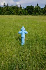 water hydrant placed on a green meadow