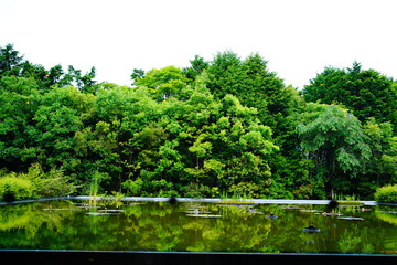 箱根の温泉