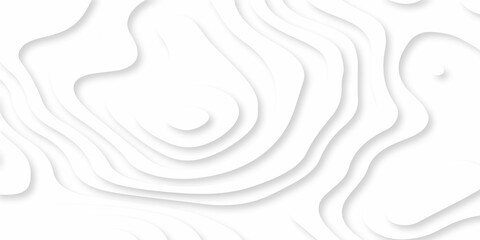 Abstracts Luxury paper cut background, Abstract decoration, white pattern gradients, 3d Vector illustration, topographic canyon map light relief texture, curved layers and shadow.