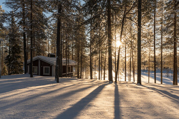 Lumière rasante sur un paysage enneigé en Laponie Finlandaise
