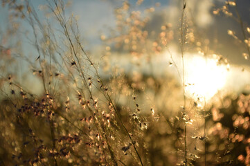 golden hour