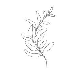 Continuous one line tree leaf. Vector illustration.