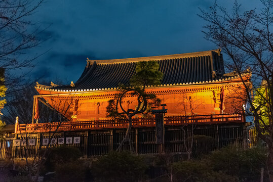 japanese temple at night