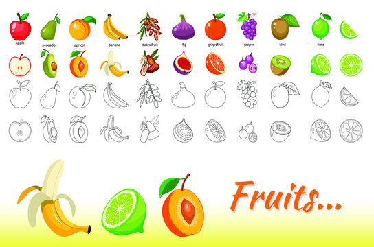 Set of Fruits with Color and Image Outline 