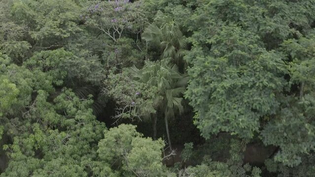 Aerial view of the castle at Parque Lage, in Tijuca National Forest. Rio de Janeiro, Brazil