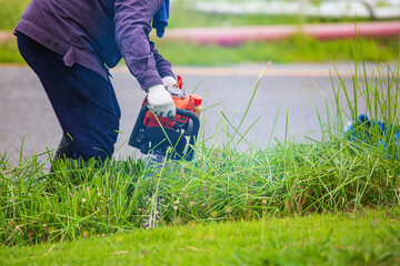 A woman trying to mow tall overgrown garden grass in a meadow with a powerful