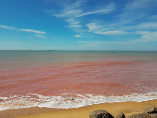 Beach with red waters caused by dinoflagellated algae