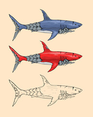 Mechanical shark animal engraving vector illustration hand drawn image