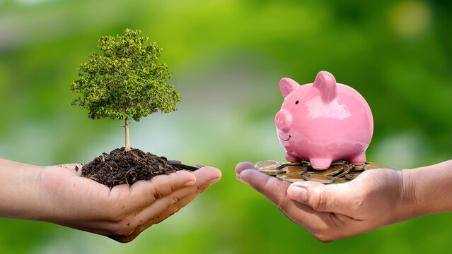 Trees and money in human hands and blurry green nature background. Eco-friendly investment concept.