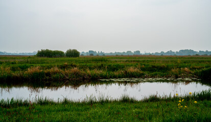 Channel in the marshlands on a sunny winter day
