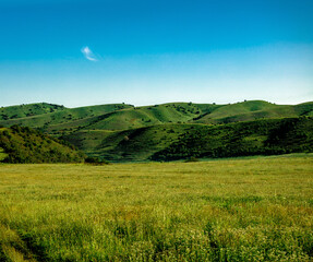 Fototapeta premium landscape with green grass and sky