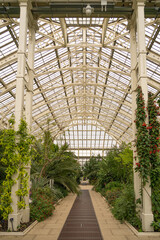greenhouse with plants