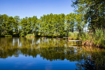 Fototapeta na wymiar Idyllic relaxing view of a lake with trees reflection.