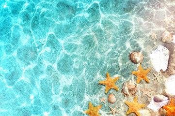 Fototapeta na wymiar Starfish and seashells on the summer beach in sea water. Summer blue background. Summer time