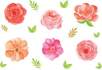 set of various flowers and leaves with watercolor