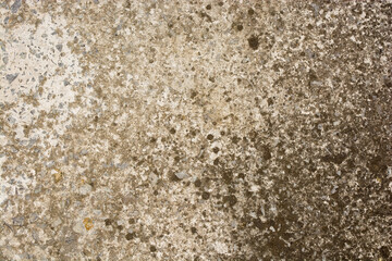 Background from old concrete.