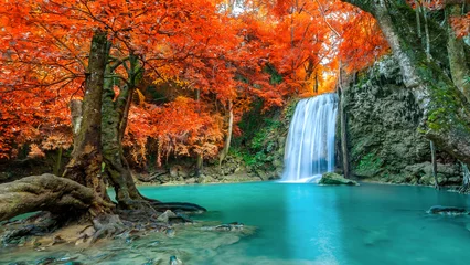 Foto op Canvas Geweldig in de natuur, prachtige waterval in kleurrijk herfstbos in het herfstseizoen © totojang1977