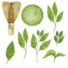 Set of watercolor illustrations whisk, cup of tea, matcha tea leaves.