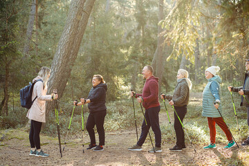 Blond woman with group of people teach Scandinavian jogging, fitness exercises with sticks in the...