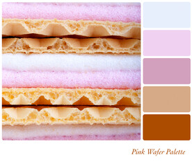 Pink wafer background in a colour palette with complimentary colour swatches.
