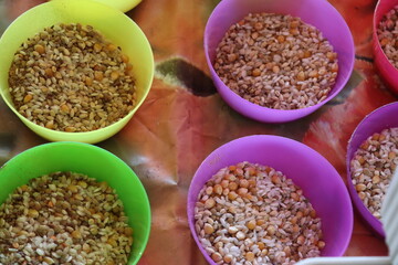 teaching activity teaching sowing and cultivation-