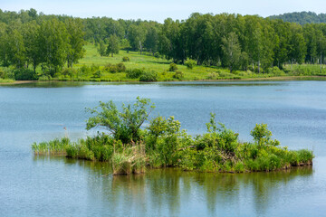 A small island in the middle of a pond on the Suenga River