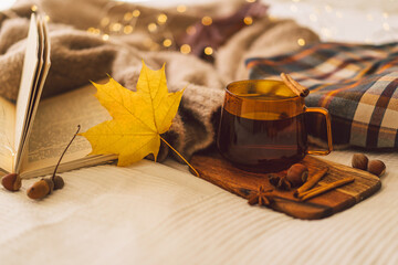 Still life details in home interior. Sweaters and cup of tea with autumn decor and books. Read,...
