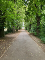 Dollis Brook walk in North London, UK