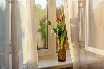 A vase with tulips is on the windowsill