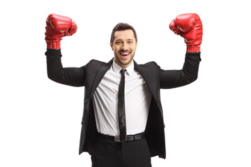 Portrait of a businessman with boxing gloves gesturing win